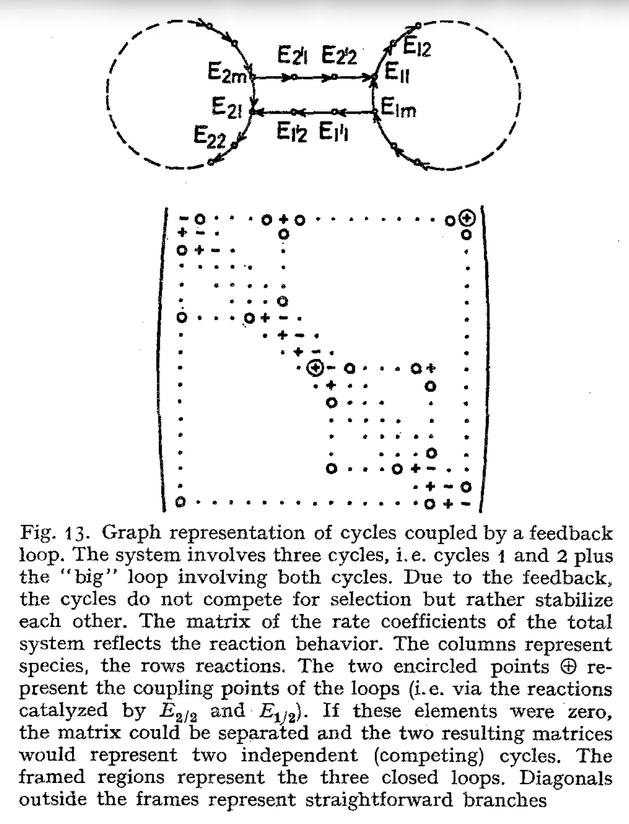 Primary-source scan of Figure 13 from Eigen's 1971 paper, showing cycles coupled by a feedback loop with the printed figure caption visible.